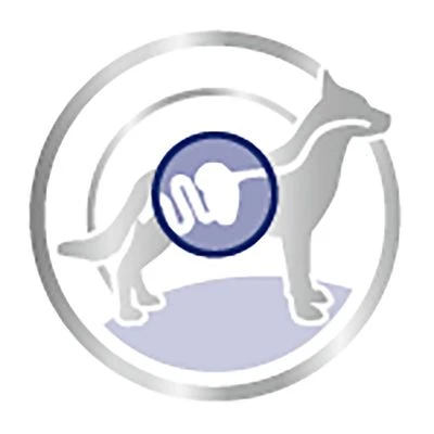 Royal Canin Maxi Adult En Salsa Para Perros 6 Royal Canin Maxi Adult En Salsa Para Perros - Imagen 4