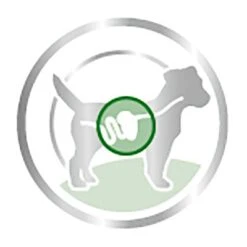 Royal Canin Mini Adult En Salsa Para Perros -Productos Para Perros 83013 royalcanin mini adult picto 9