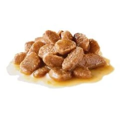 Royal Canin Mini Adult En Salsa Para Perros -Productos Para Perros 83013 royalcanin mini adult s 1