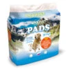 Pads 90x60 Economic 2 Pads 90x60 Economic -Productos Para Perros 8435117819535