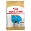 Royal Canin Carlino Puppy / Junior -Productos Para Perros 84442 pla royalcanin puppyhund pug 6
