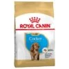 Royal Canin Cocker Puppy / Junior 2 Royal Canin Cocker Puppy / Junior -Productos Para Perros 84452 pla royalcanin puppyhund cocker 5