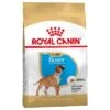 Royal Canin Boxer Puppy / Junior -Productos Para Perros 84598 pla royalcanin puppyhund boxer 7