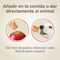 BEAPHAR Pasta Multi-Vitaminas Perro 11 BEAPHAR Pasta Multi-Vitaminas Perro -Productos Para Perros 8711231129522 3 650d7355e9707