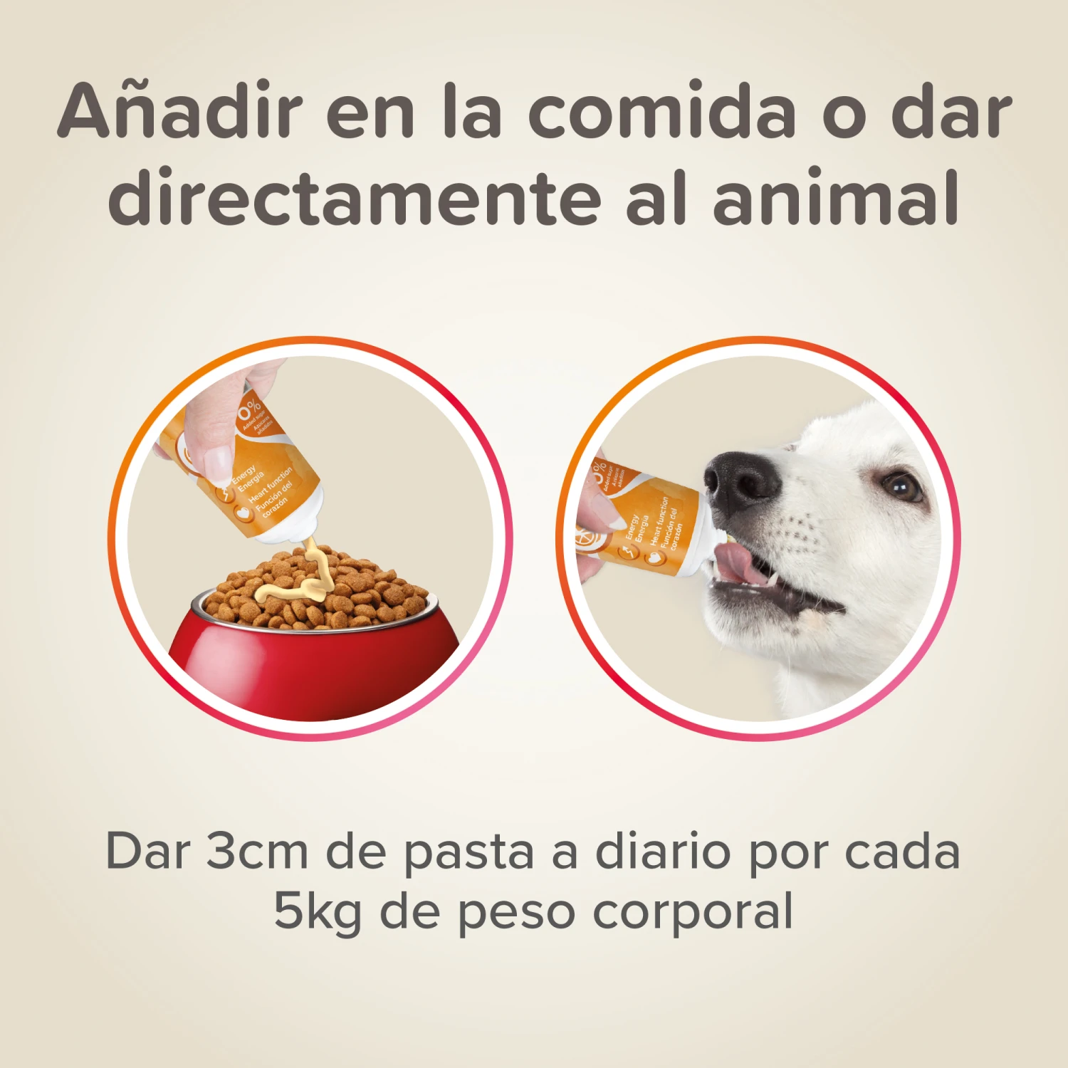 BEAPHAR Pasta Multi-Vitaminas Perro 6 BEAPHAR Pasta Multi-Vitaminas Perro - Imagen 4