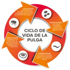 Spray Antiparasitario Para Gatos Y Perros (2,5mg/ml) -Productos Para Perros 8711231154081 2 64a6c495da565