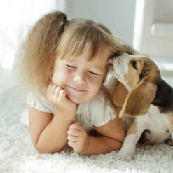 Spray Antiparasitario Para Gatos Y Perros (2,5mg/ml) -Productos Para Perros 8711231154081 2