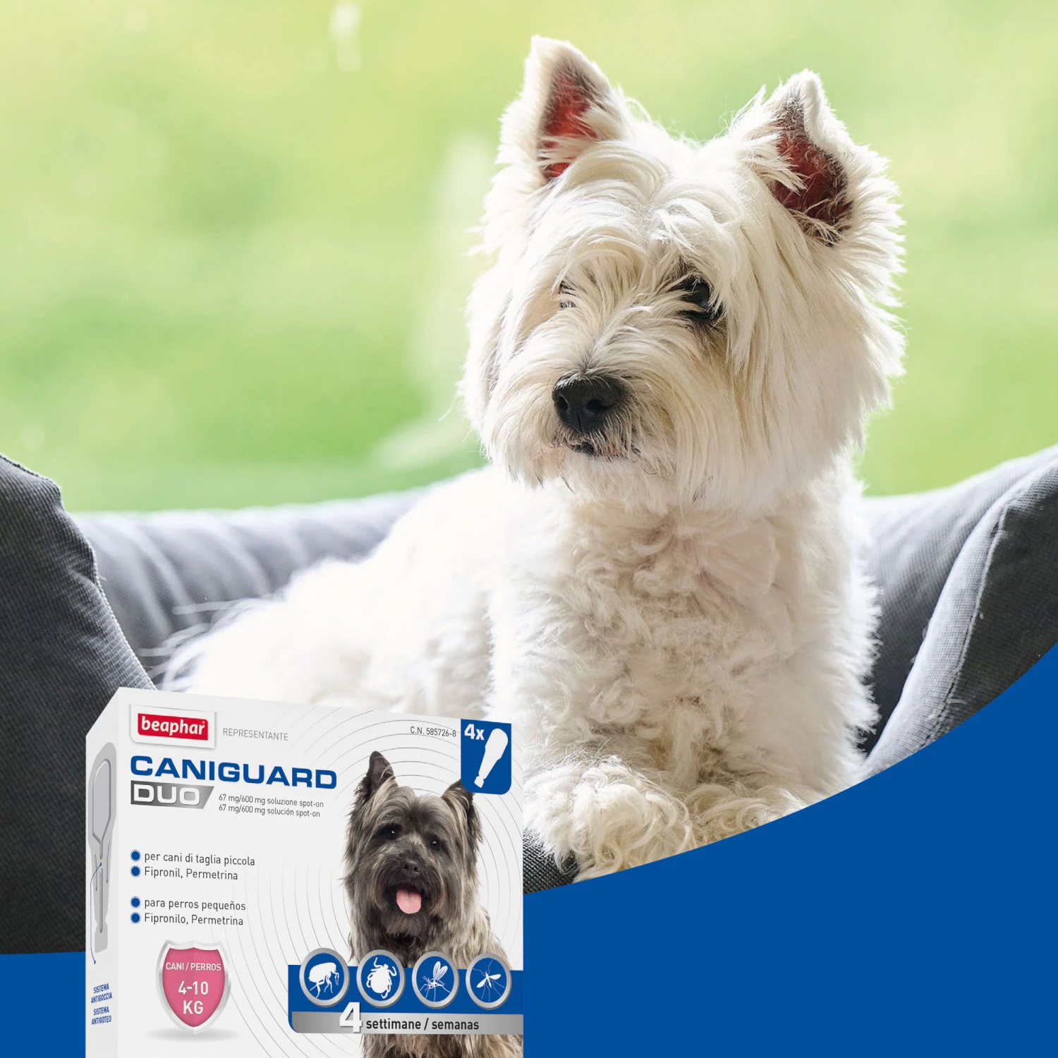 BEAPHAR Pipeta Caniguard Duo Solución Spot-On Para Perros De 4-10 Kg (67 Mg/600 Mg) 7 BEAPHAR Pipeta Caniguard Duo Solución Spot-On Para Perros De 4-10 Kg (67 Mg/600 Mg) - Imagen 5