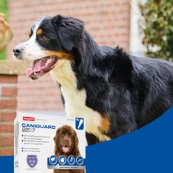 BEAPHAR Pipeta Caniguard Duo Solución Spot-On Para Perros De +40 Kg (402 Mg/3.600 Mg) -Productos Para Perros 8711231170463 4 64a6c5d4a6b4f