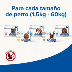 BEAPHAR Pipeta Caniguard Duo Solución Spot-On Para Perros De +40 Kg (402 Mg/3.600 Mg) -Productos Para Perros 8711231170463 5 64a6c5d4a8ffa