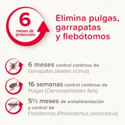 BEAPHAR Canishield Collar Antiparásitos Para Perros Grandes (1,04 G) -Productos Para Perros 8711231172337 2 64c78c99e5d2c