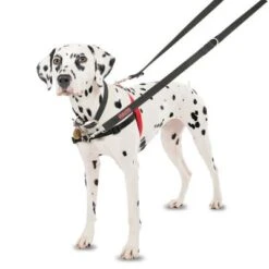 Arnés Antitirones Front Control HALTI Para Perros -Productos Para Perros 94510 coa halti front controll harness hs 01 3