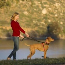 Arnés Antitirones Front Control HALTI Para Perros -Productos Para Perros 94510 coa halti front controll harness hs 04 7