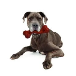 Hueso Nylabone Dura Chew Monster Aroma A Bisonte -Productos Para Perros 94898 nylabone durra chew monster hs 05 1