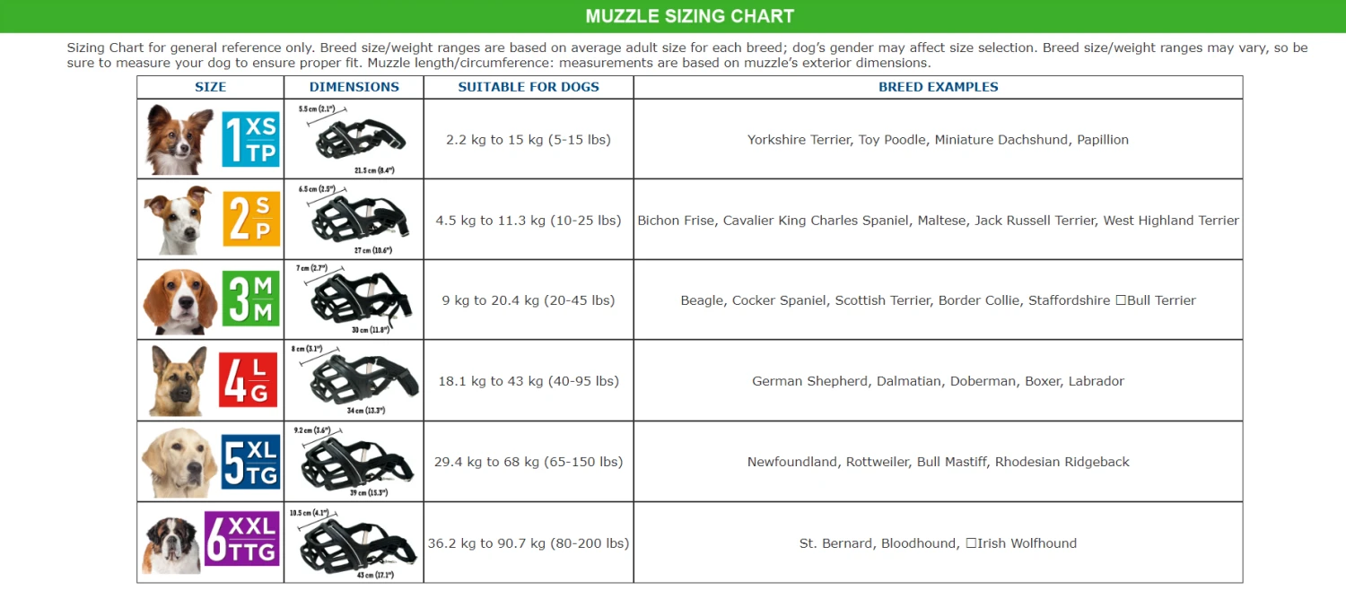Zeus Bozal Alpha 10 Zeus Bozal Alpha - Imagen 8