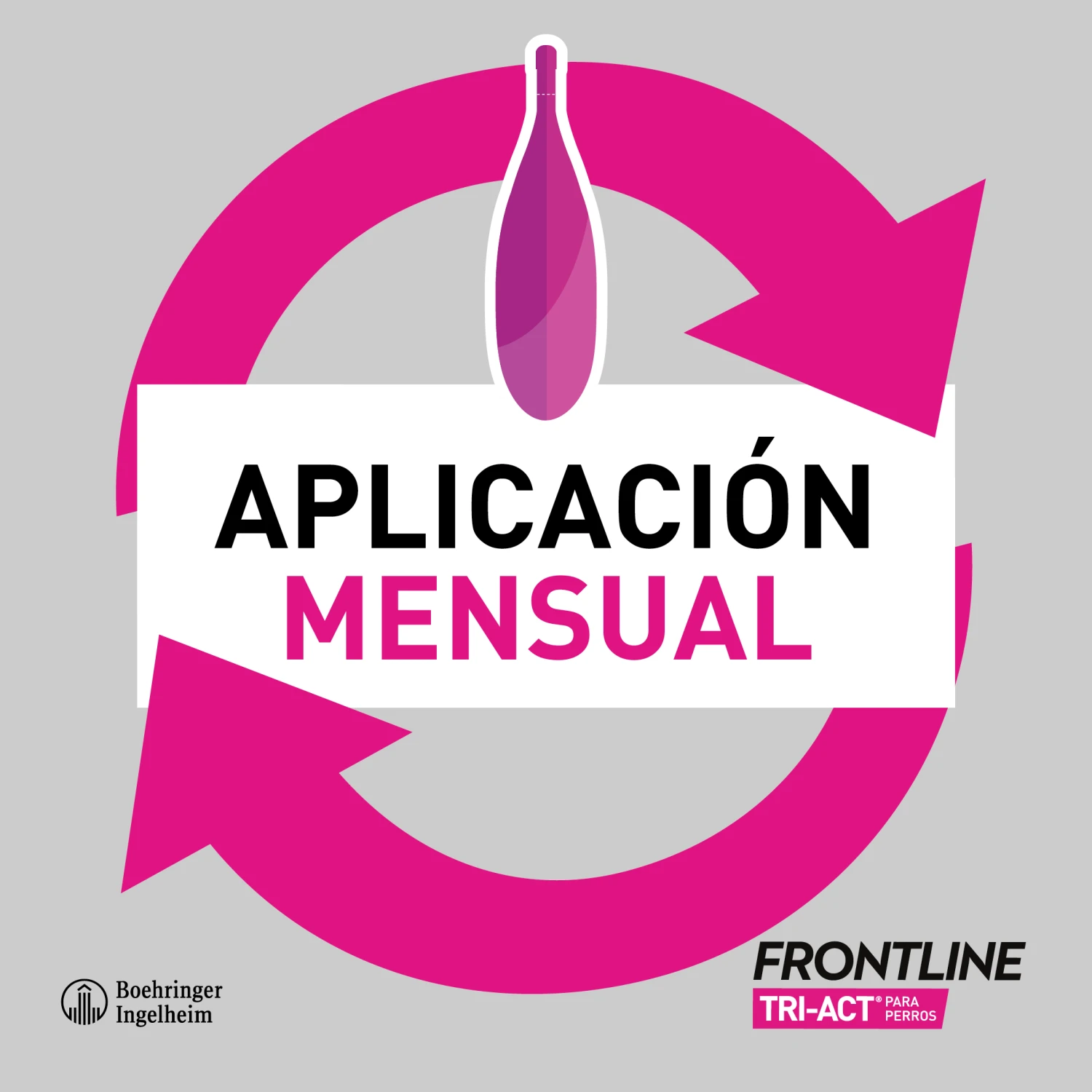 Frontline Pipetas Tri-Act Solució Spot-On Para Perros De 2-5 Kg 7 Frontline Pipetas Tri-Act Solució Spot-On Para Perros De 2-5 Kg - Imagen 5