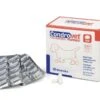 Condrovet Force HA Cachorros Condroprotector Articular 2 Condrovet Force HA Cachorros Condroprotector Articular -Productos Para Perros Bioiberica Condrovet Force HA Cachorros Condroprotector Articular 63f7511d7139b