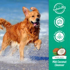 Tropiclean Champú Avena Y árbol De Té -Productos Para Perros Champu de Avena y Arbol de Te para perro 6357e7d9325a7