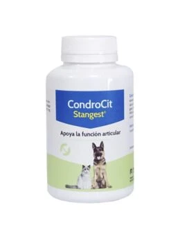 Condroproctector Para Perros Y Gatos Condrocit -Productos Para Perros Condrocit 120 comp 8436020788970 2 647795f7db1f7