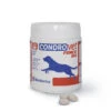 Condrovet Force HA Condroprotector Articular -Productos Para Perros Condrovet Force HA 240 2 63f759caa5acc
