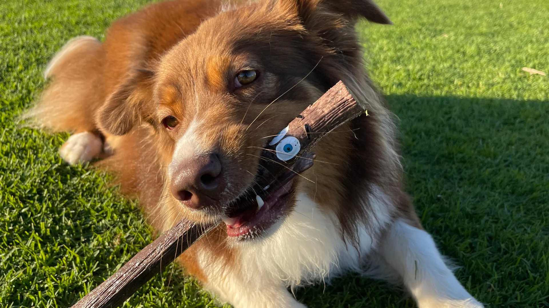 Stick Captain Fangtastick 4 Stick Captain Fangtastick - Imagen 2