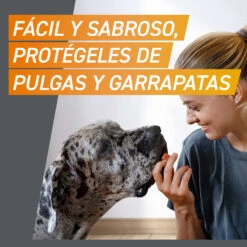 Comprimidos Masticables Antisitarios Perros De 25 A 50 Kg (11 Mg) 18 Comprimidos Masticables Antisitarios Perros De 25 A 50 Kg (11 Mg) -Productos Para Perros FRONTPRO SI02 HERO MESSAGE es 63bd36513cdd3