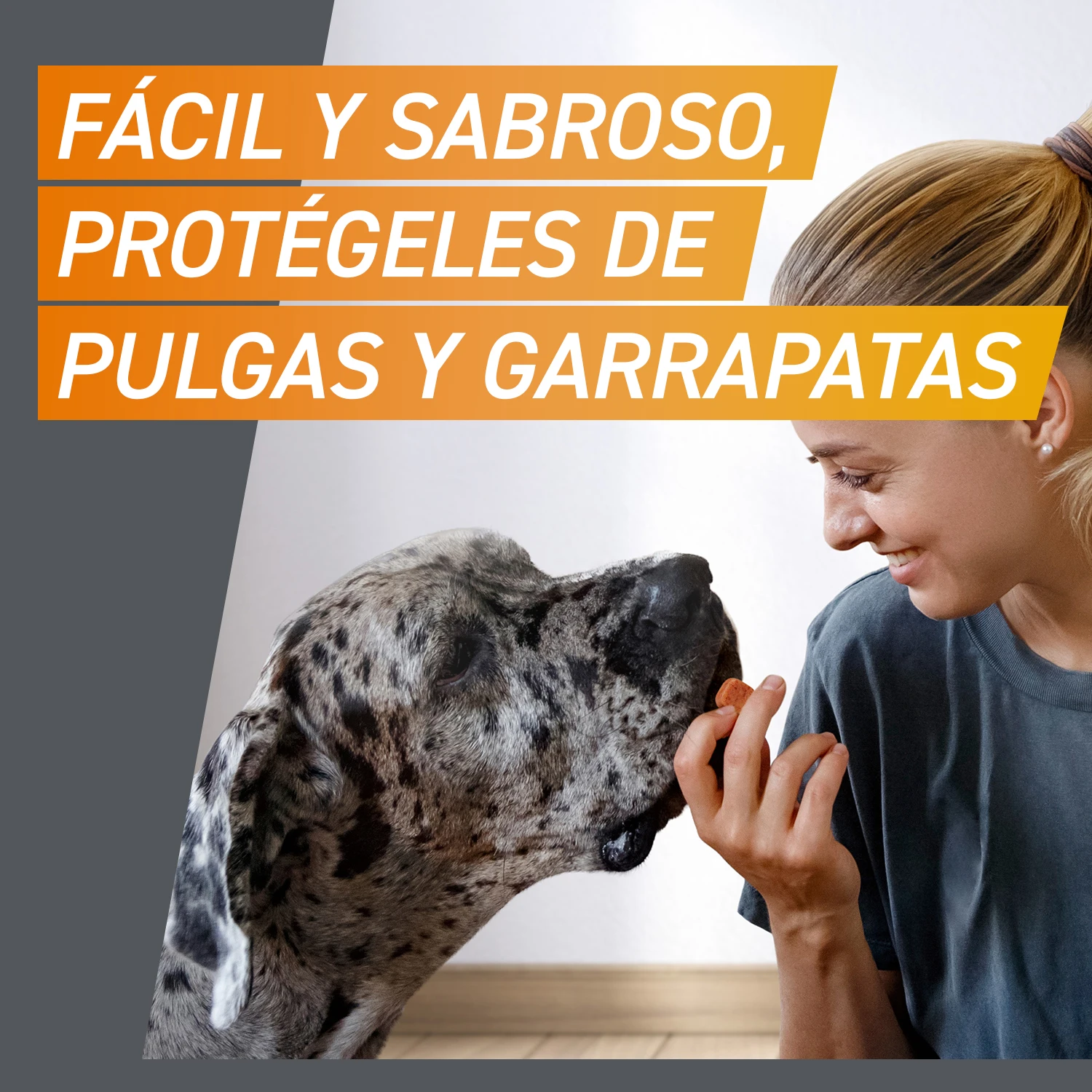 Comprimidos Masticables Antisitarios Perros De 25 A 50 Kg (11 Mg) 9 Comprimidos Masticables Antisitarios Perros De 25 A 50 Kg (11 Mg) - Imagen 7