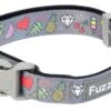 Fuzzyard Collar De Neopreno Coachella -Productos Para Perros FZ3570 2 Collar Neo Coachella 1024x1024 62c2a88eeaa56