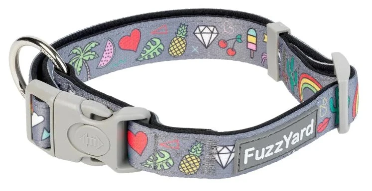 Fuzzyard Collar De Neopreno Coachella 3 Fuzzyard Collar De Neopreno Coachella
