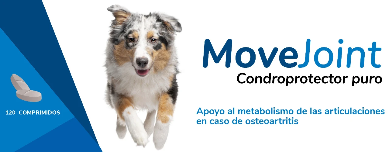 Movejoint 4 Movejoint - Imagen 2