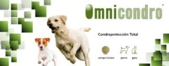 Omnicondro 10 - 60 Comprimidos -Productos Para Perros Hifarmax Omnicondro 63591f7492508