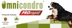 Omnicondro ProRapid -Productos Para Perros Hifarmax Omnicondro ProRapid 62a2eca867e7e