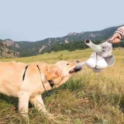 KONG Stretchezz Legz Bear Para Perros 5 KONG Stretchezz Legz Bear Para Perros -Productos Para Perros KONG Stretchezz Legz 641994f582a85