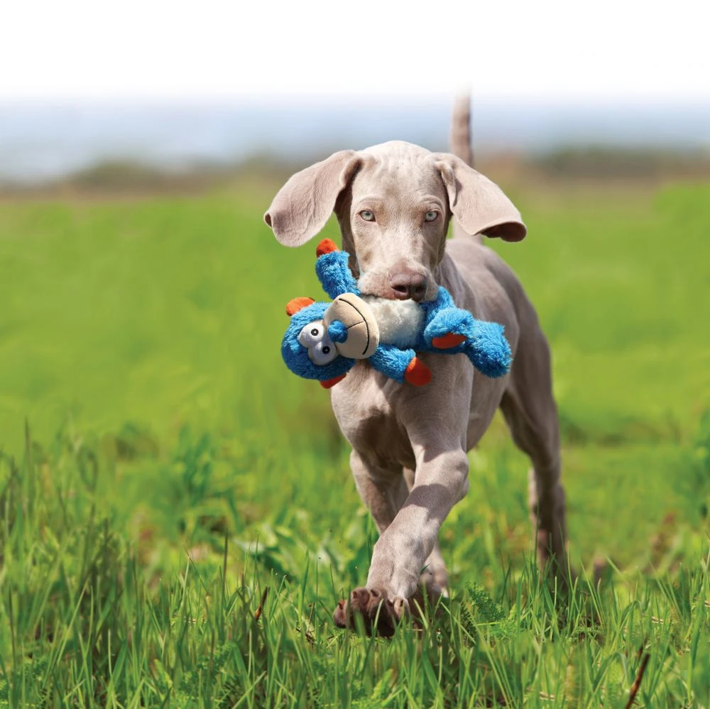 KONG Peluche Cross Knots Elefante 4 KONG Peluche Cross Knots Elefante - Imagen 2