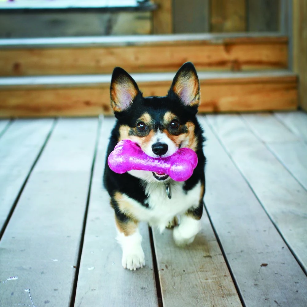 KONG Mordedor Stick Squeezz Crackle 6 KONG Mordedor Stick Squeezz Crackle - Imagen 4