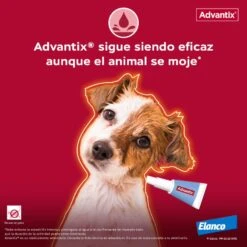 Advantix Pipetas Spot On Para Perro De Más De 25 Kg -Productos Para Perros Pipetas para Perro de Raza Toy 63ea7006b68e1