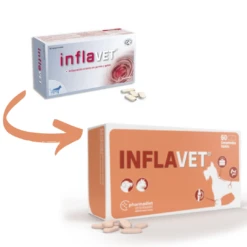 Inflavet 6 Inflavet -Productos Para Perros Puppy 064992010683 649ac7be13b4f