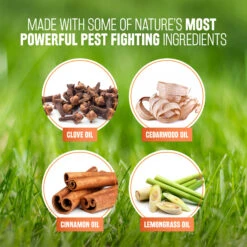 Tropiclean Spray Natural Antiparasitarios Para Perros Y Gatos -Productos Para Perros Spray Natural Antiparasitarios para Perros y Gatos 1 6357eaa1be8cb