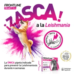 Frontline Pipetas Tri-Act Solución Spot-On Para Perros De 5-10 Kg 12 Frontline Pipetas Tri-Act Solución Spot-On Para Perros De 5-10 Kg -Productos Para Perros VisualTRI 6267f62e72c9d