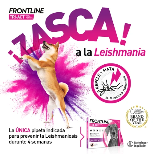 Frontline Pipetas Tri-Act Solución Spot-On Para Perros De 5-10 Kg 6 Frontline Pipetas Tri-Act Solución Spot-On Para Perros De 5-10 Kg - Imagen 4