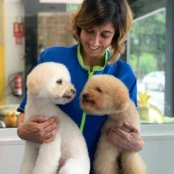 ARTERO Acondicionador Flash 11 ARTERO Acondicionador Flash -Productos Para Perros WhatsApp Image 2020 07 10 at 20 04 05 2 64ec84fc928b1