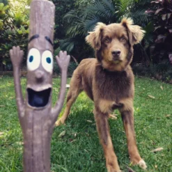 Stick Elwood -Productos Para Perros WoodyandRalph 1800x1800 650837c95e109