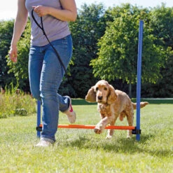 Trixie Valla De Agility Para Perros -Productos Para Perros agility vallas 64b93b0772570