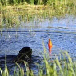 Chuckit! Aleta De Tiburón Flotante Para Perros -Productos Para Perros aleta naranja juguete perro 63e3662a0d17d