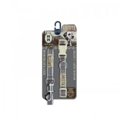 Zeus Arista/Collar Y Correa