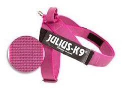 Julius K9 Arnés IDC De Cinta Rosa