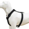 Arnés Comfort Reflectante Negro Para Perros -Productos Para Perros arnes comfort reflectante para perros 1