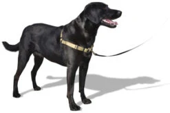 Virbac Pipetas Effipro Duo Spot On Antiparasitario Para Perros De 20 A 40 Kg (268 Mg/80 Mg) -Productos Para Perros arnes de adiestramiento antitrones sense ation soft mini 3