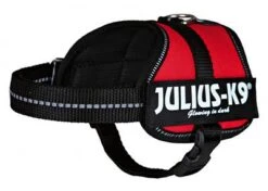 Arnés Julius K9 Rojo -Productos Para Perros arnes julius k9 rojo 1