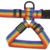 Petral Arcoiris -Productos Para Perros arnes rainbow 25 mm 1